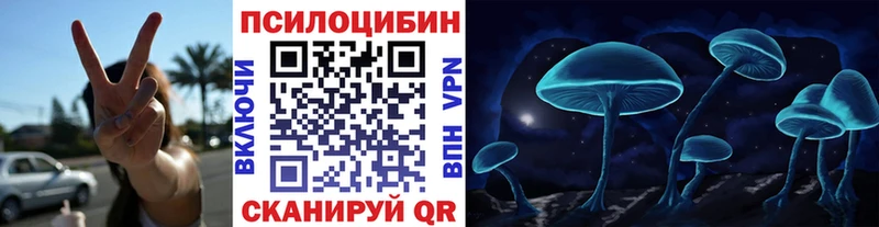 где можно купить   Новая Усмань  Галлюциногенные грибы ЛСД 
